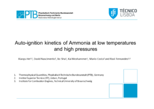 Auto-Ignition Kinetics of Ammonia at Intermediate Temperatures and High Pressures