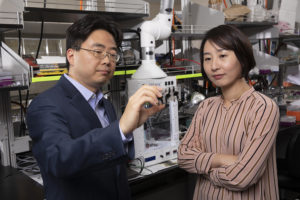 Ammonia-fed microbial fuel cells: power from sweat