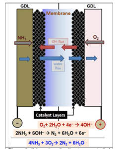 More Progress for Automotive-Oriented Direct Ammonia Fuel Cells