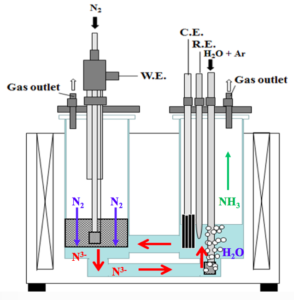 Electrochemical ammonia synthesis in South Korea