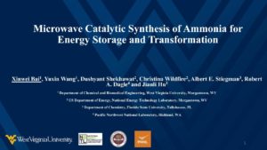 Microwave Catalytic Synthesis of Ammonia for Energy Storage and Transformation
