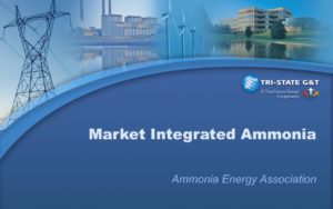 Green Ammonia Production Integrated into US Wholesale Power Markets
