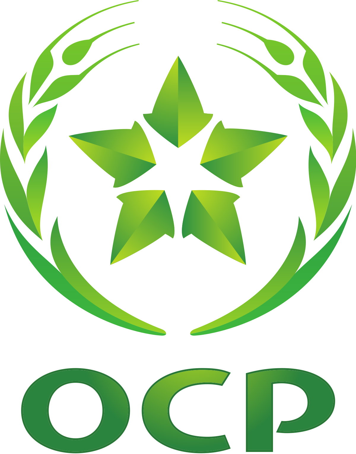 OCP Group Logo