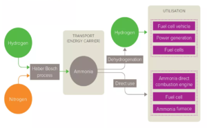 Ammonia's Role in the Hydrogen Society