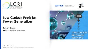 Low-Carbon Fuels for Power Generation