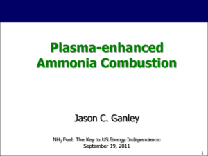 Plasma-Enhanced Ammonia Combustion