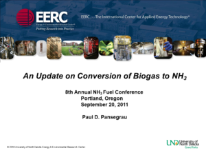 An Update on Conversion of Biogas to NH3