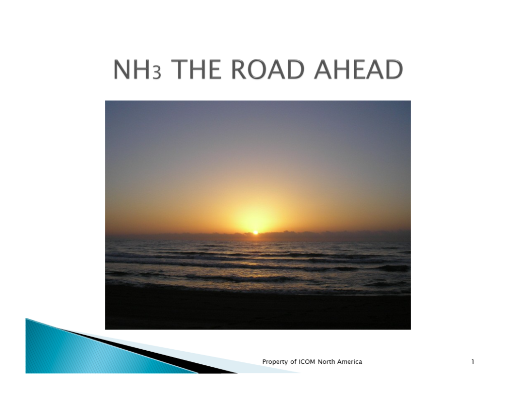 NH3 — The Road Ahead
