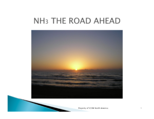 NH3 — The Road Ahead