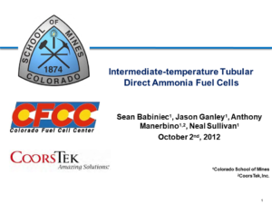 Intermediate-Temperature Tubular Direct Ammonia Fuel Cells