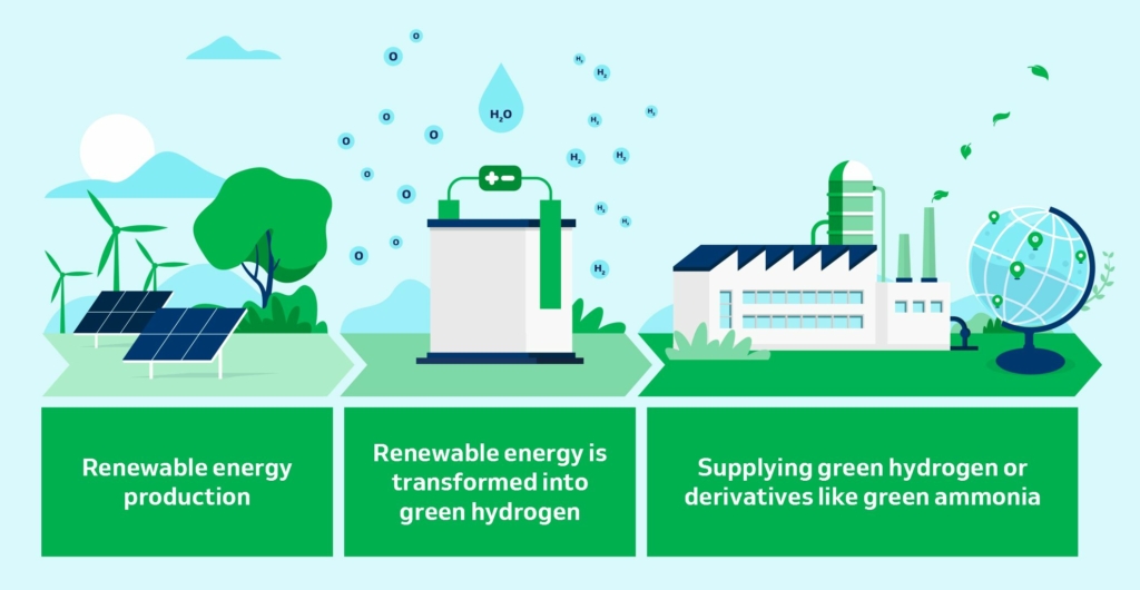 HYPORT® Duqm Green hydrogen/ammonia infographic from DEME Concessions.