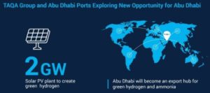 Building an ammonia supply chain in the UAE: bunkering, blue, and 2 GW of green ammonia