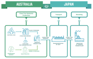 Exploring an ammonia fuel supply chain between Australia and Japan
