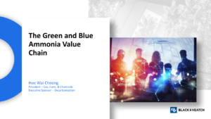 The Green and Blue Ammonia Value Chain