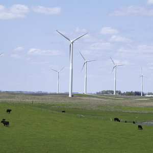 Renewable ammonia in Iowa