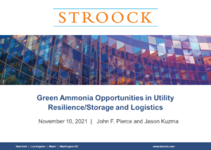 Green Ammonia Opportunities in Utility Resilience/Storage and Logistics