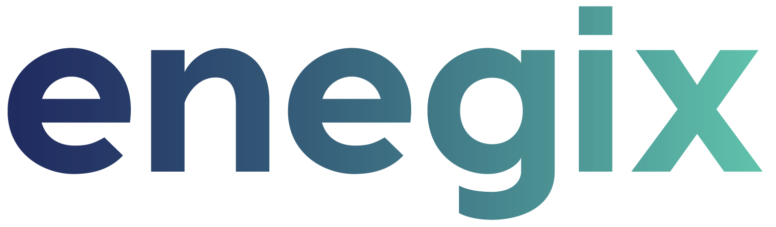 Enegix Logo