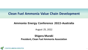 Clean Fuel Ammonia Value Chain Development