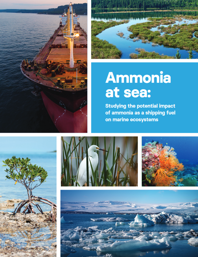 Ammonia at Sea (Summary Report) (Ricardo, EDF and LR, Nov 2022).