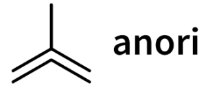 Anori Logo
