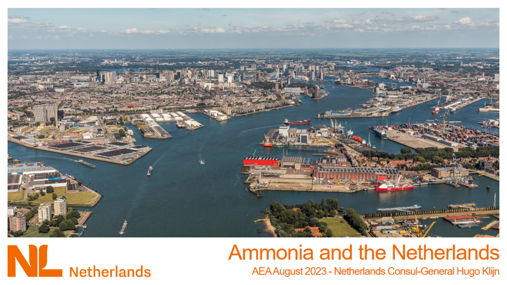Ammonia and the Netherlands