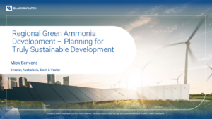 Regional Green Ammonia Development – Planning for Truly Sustainable Development