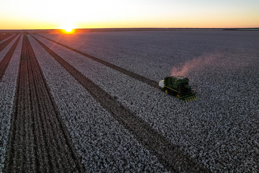 Renewable ammonia to support cotton farming in Australia – Ammonia