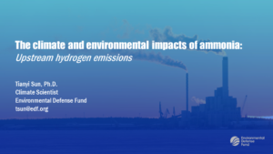 The climate and environmental impacts of ammonia: Upstream hydrogen emissions