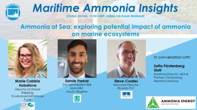 Ammonia at Sea: exploring the potential impact on marine ecosystems