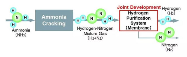 A purification system to produce high-purity hydrogen from ammonia cracking.