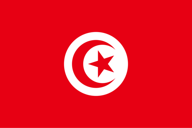 Tunisia’s hydrogen roadmap: renewable ammonia production by 2025