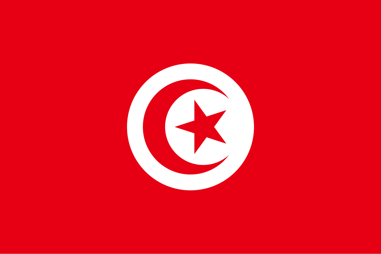 Tunisia's Hydrogen Roadmap: From Pilot Projects to Export Ambitions