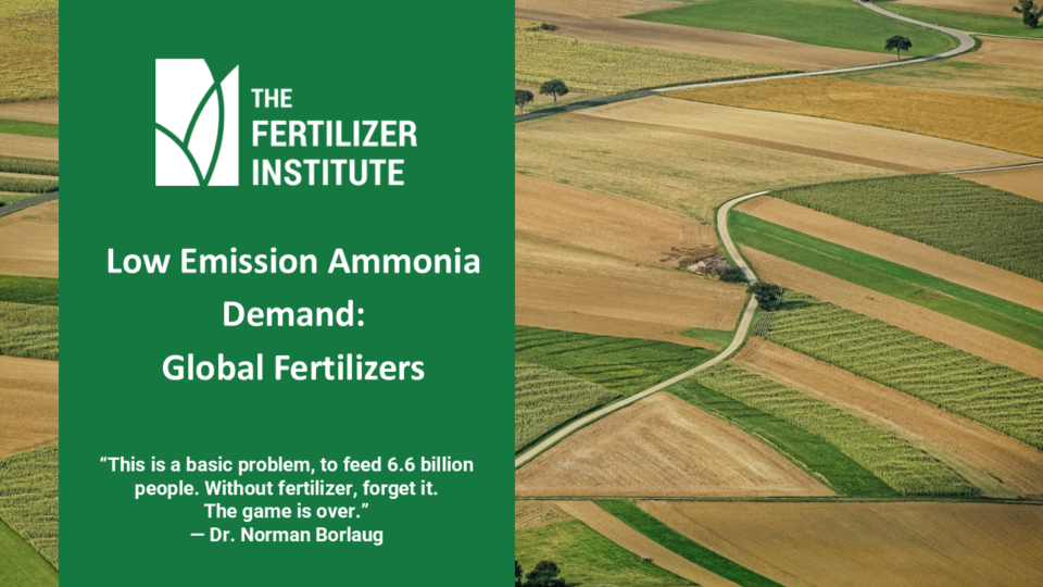 Low Emission Ammonia Demand: Global Fertilizers