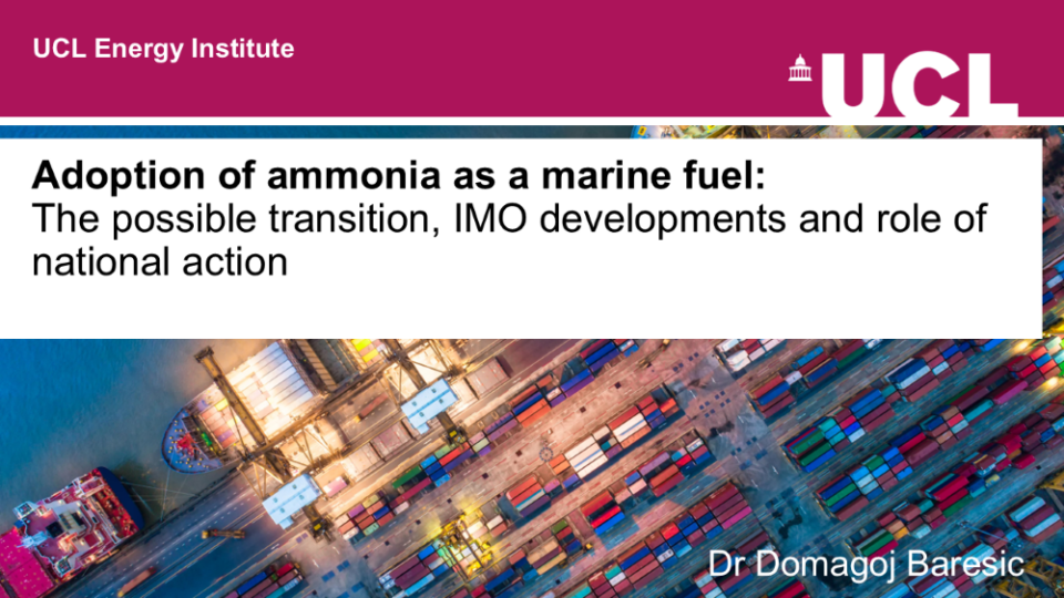 Adoption of ammonia as a marine fuel: The possible transition, IMO developments and role of national action